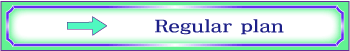 デザインロゴ「Regyular plan」